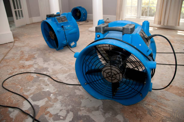 Best Water damage restoration near me  in Blowing Rock, NC
