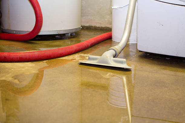 Best Local water damage restoration  in Blowing Rock, NC